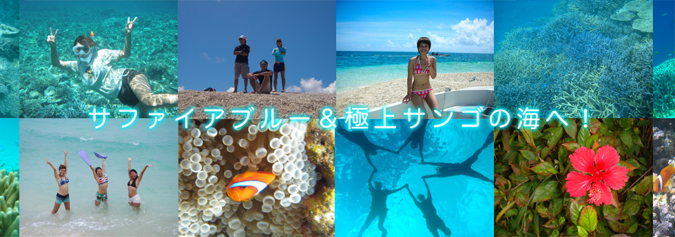 ヤマモトツアーズは西表島・鳩間島・石垣島からボートで行く、西表島・バラス島・鳩間島・浜島（幻の島）専門のシュノーケリング専門店です。全コース旅行保険加入しています。